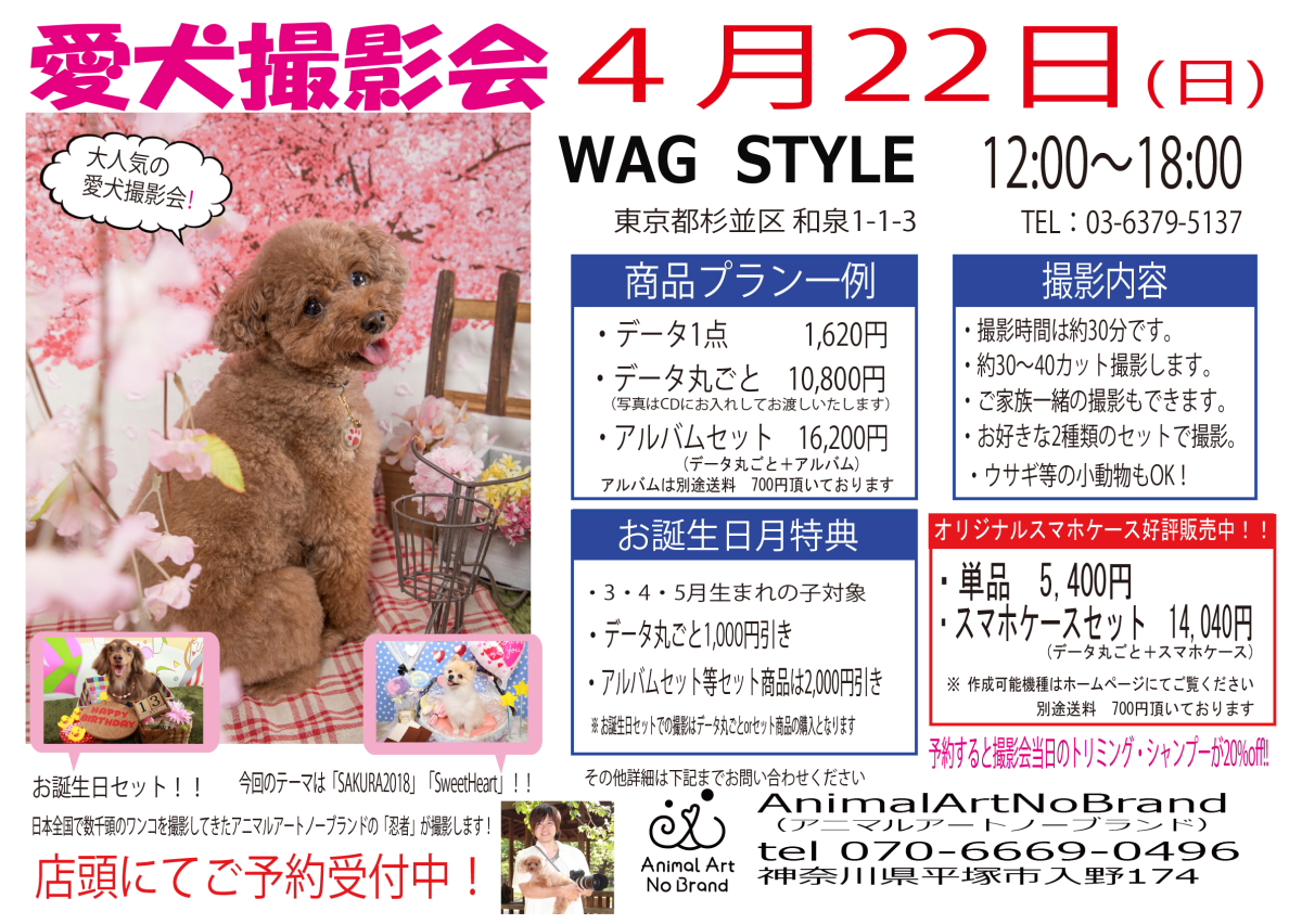 WAG STYLE