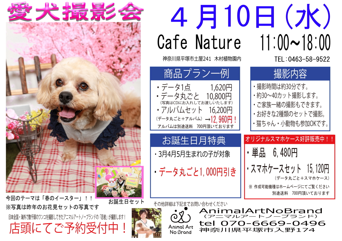Cafe Nature
