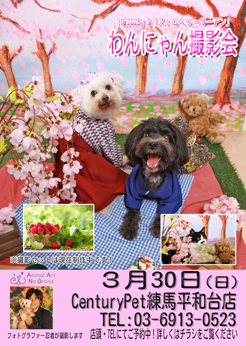 CenturyPet���n���a��X