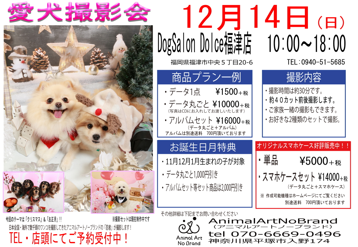 DogSalon Dolce���ÓX